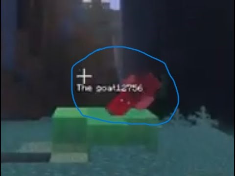 Pranking my friend in MineCraft