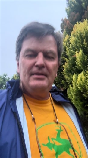 Peter John Weir (@peterjohnweir)’s videos with original sound - Peter John Weir