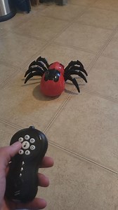 Watch Remote Control Spider toy on Amazon Live