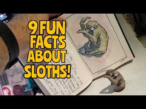 Pooping is the most Dangerous Time for Sloths!