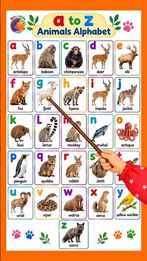 learn a to z small alphabet letters with animals name || abcd learning song