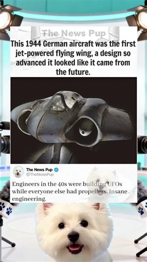 The Insane 1944 Jet-Powered Flying Wing ✈️ #history #story #historyfacts