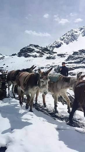 Explora la Cordillera Real de Bolivia