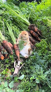 Omg so lovely 😍🥰😘 | Living Life Daily