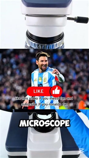 onion under the microscope #microscope #shortvideo #ytshorts