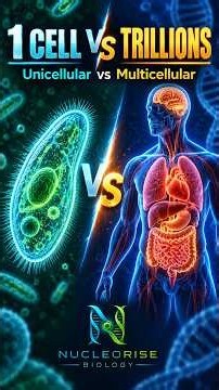 Unicellular vs Multicellular Cells Explained in 60 Seconds! #Biology #CellBiology #BiologyShorts