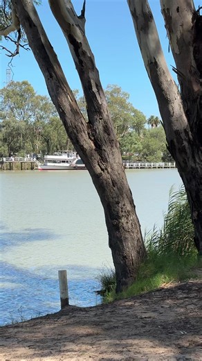 The Mighty Murray River is the border between Victoria and New South Wales in Australia 🇦🇺.
