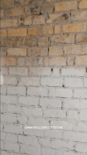 Prevent Peeling & Flaking, Quickly & Easily with Owatrol E-B #shorts