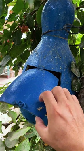 Checking bee nesting locations safely for hive management