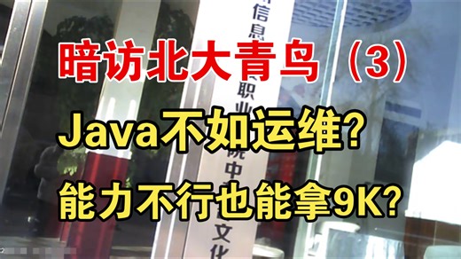 暗访北大青鸟（3）Java不如运维，能力不行也能拿9K？【训哥儿】