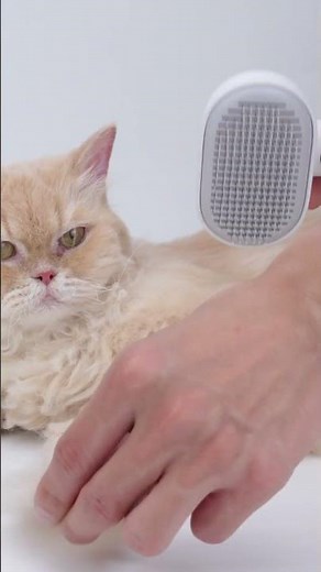 Best Cat Brush for Comfort and Easy Fur Removal #aumuca #aumucacatbrush #petbrush #catlover