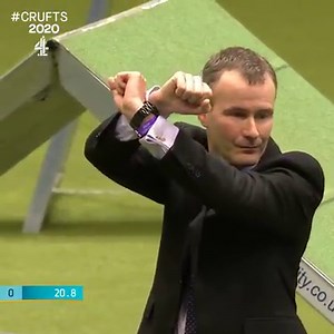 7.2M views · 73K reactions | Cookie the Pug doing agility will melt your heart  | Crufts | Facebook