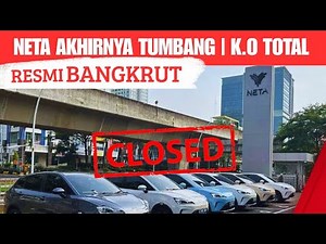 NETA BANKRUPT? | Lessons for the Electric Car Industry!