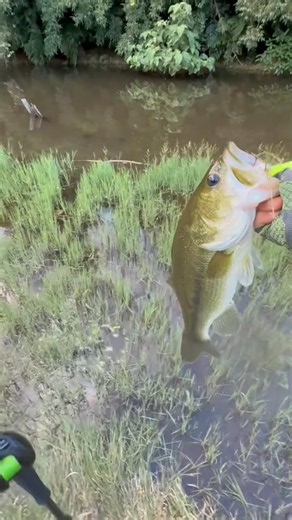 Best catch of the day with best rod!! part 1