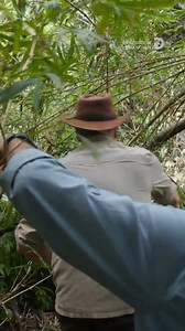 A vanished Vanderbilt vessel, the Orus, and a jungle full of danger. New #ExpeditionUnknown starts NOW on Discovery. | Expedition Unknown