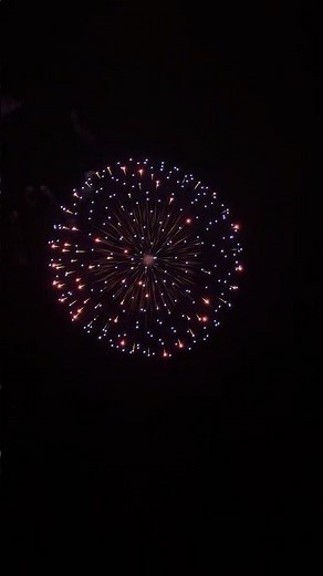 6“ 3D Lantern w/Silver Tail #displayshells #洋沣6寸3D牡丹环