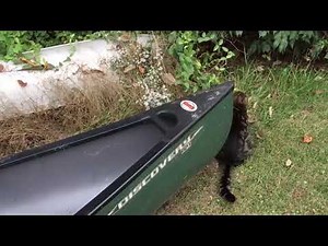 Short Review of Old Town Discovery 119 Canoe (Solo Canoe)