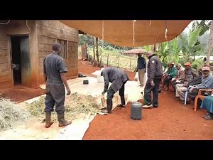 How to make Dairy Meal Dairy - English Subtitled