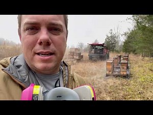 What are the right conditions to use Oxalic Acid Vaporization on honey bees?