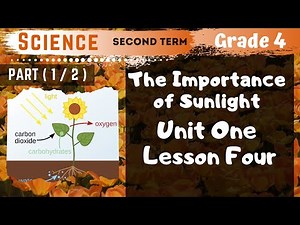 Science | Grade 4 | Unit 1 Lesson 4 - Part 1 - The Importance of Sunlight to Living Organisms