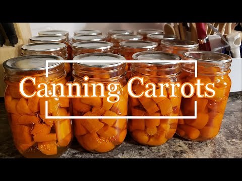 Canning Carrots - Raw Pack