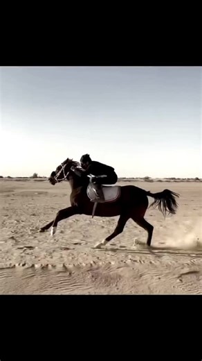 Equestrian Skills: Horse Riding Techniques Revealed