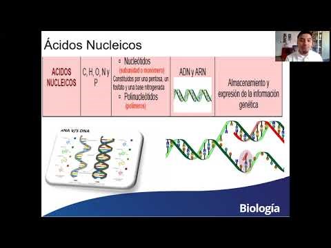 Biología Módulo 2 Biomoléculas y célula