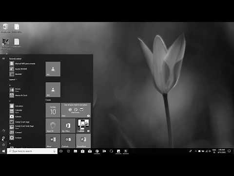 Si Tu Windows 10 se queda con la pantalla en Gris debe ver este video