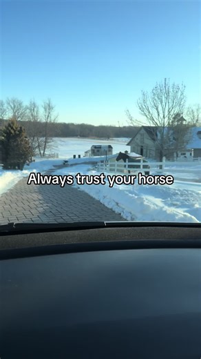 Understanding Your Horse's Behavior: Key Signs