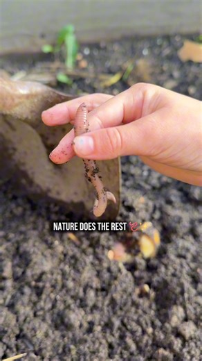 Our first spring & summer of composting is in the books, and it’s...