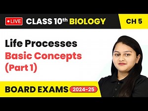 Life Processes - Basic Concepts (Part 1) | Class 10 Biology Chapter 5 | CBSE 2024 #live
