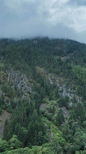 18 reactions | Hellsgate, where mist and landscape blend together this place will leave you wanting to come back. A foggy day at Hellsgate is the perfect excuse to get away from it all❤️ Plan a visit and don’t forget to buy your tickets⬇️ https://linktr.ee/hellsgatetram #discoverbc #suspensionbridgebc #frasercanyon #hellsgate #travelbc #hellsgatebc | Hell's Gate Airtram | Facebook
