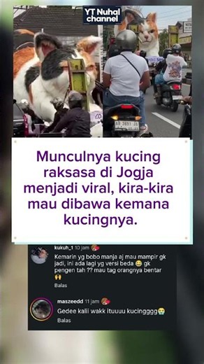 waw besar banget boneka nya...