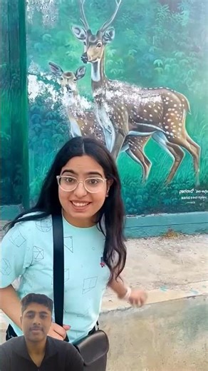 Hum chale jungle safari pe#priyalkukreja #shorts#ytshorts
