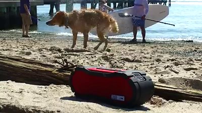 Slow down a bit! Enjoy life, play your favorite tune, and Just Listen. ft. "Queso, the Altec Retreiver" & The OmniJacket Ultra | bitly.com/omnijacketultra | Altec Lansing