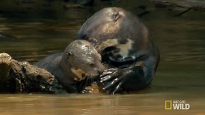 100K views · 5.9K reactions | Throwback Thursday: Eventually they'll...