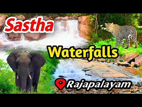 Sastha Waterfalls in Rajapalayam | Waterfalls in Virudhunagar District | Reserve Forest | Trekking