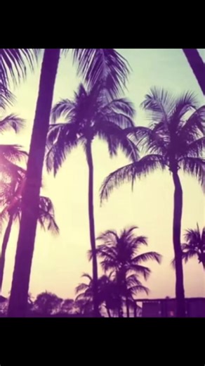 Reflecting on Summer 2016 Memories