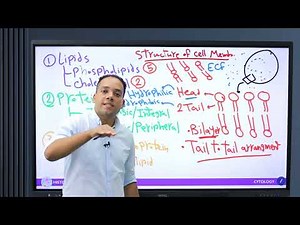 Cytology Lecture 2