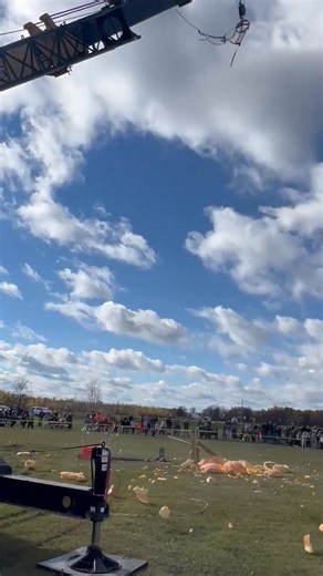 Giant Pumpkin vs failed Candy Catapult 🍬🎃 #pumpkinseason | Moby Mike Pumpkins