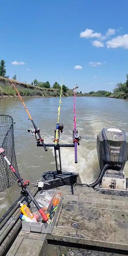 Bowfishing Adventures with SeaArk Boats