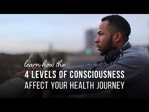 Your LifeBook, Element 24: Your Journey to Higher Consciousness