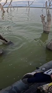 105K views · 777 reactions | Kyle Barber rolling TT Tornado+ Mini...