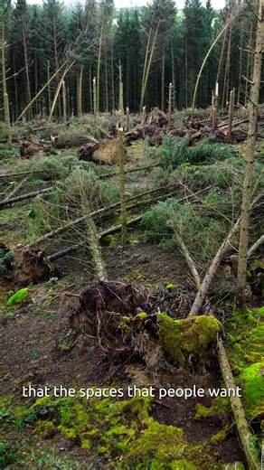 Why do we close our car parks and trails during storms? 🌧️ It’s about tree safety, inspections, and protecting everyone who visits. Ranger Merri from the Forest of Dean takes you behind the scenes to explain more. | Cardinham Woods - Forestry England