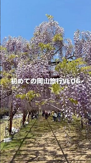 岡山旅行 #倉敷美観地区