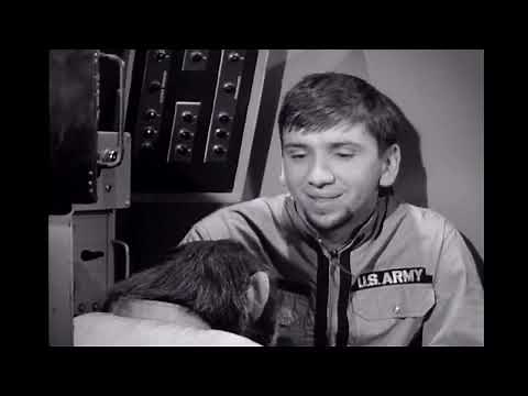 Maynard G. Krebs & The Monkey