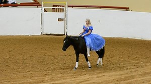 Meet Mustang No. 1236, now known as “Amira.” 126 days ago, Amira was wild—one of the BLM’s 46,000 mustangs in holding waiting for adoption. The “U” in her brand marks Amira as a “3-striker,” meaning she was passed up for adoption—unwanted—three times by no fault of her own. Mustang Maddy trained Amira for the Mustang Heritage Foundation's Mustang Magic competition, in which trainers have less than 130 days to train a wild mustang. These competitions serve to showcase the trainability of America’