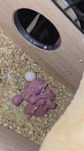 Hellloooooo jackie 👀👀❤️❤️❤️