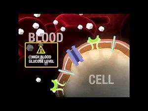 Medication: Metformin