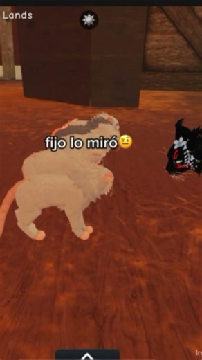 Se robaron un ratón😨/warrior cats/Deer”star